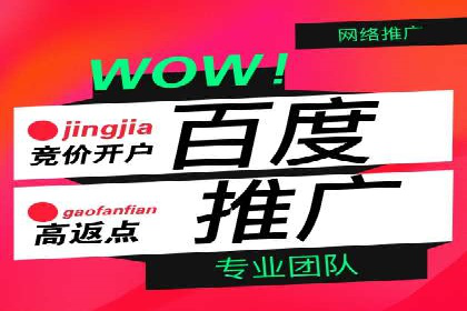 成功SEM服务案例分析报告